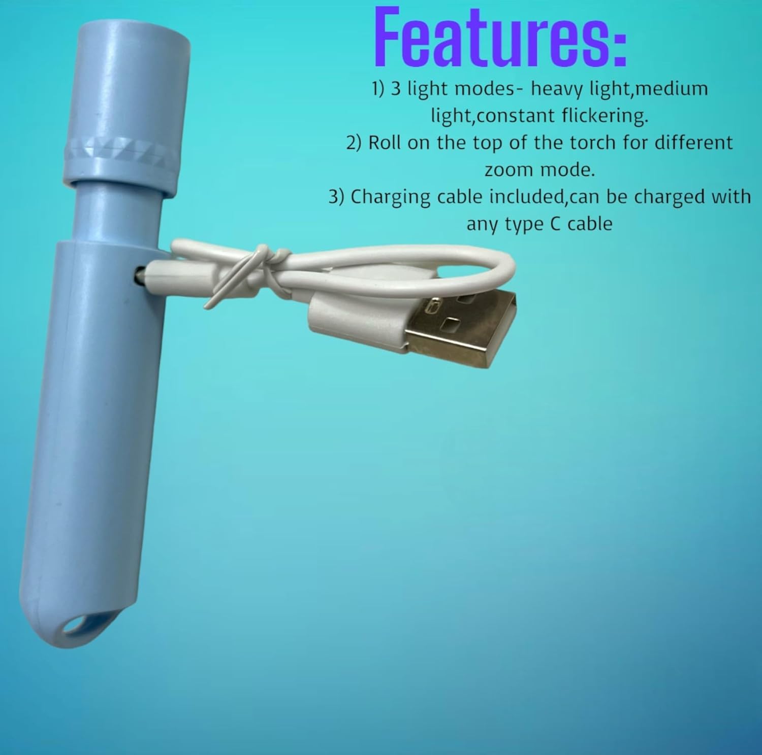 Torch Light – 1000